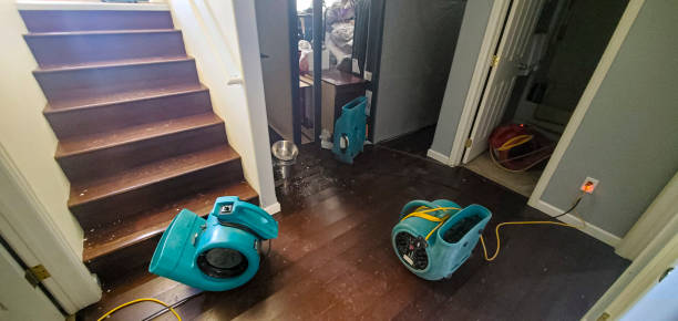 Reliable IN Water damage restoration Solutions