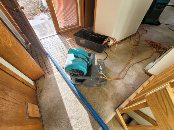 Best Water damage contractors near me  in Bristol, IN