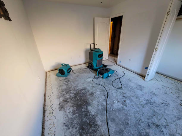 Best Ceiling water damage repair  in Bristol, IN