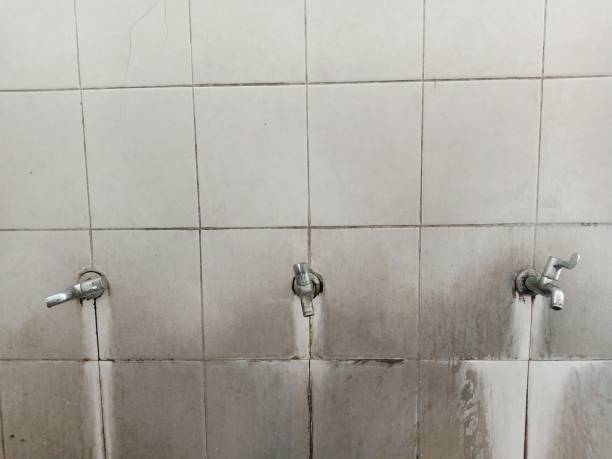 Best Water damage restoration near me  in Bristol, IN
