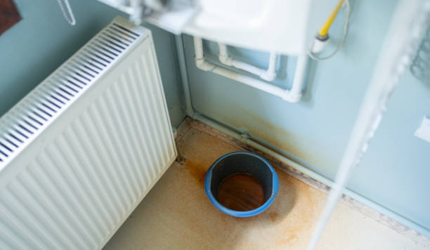 Best Flood restoration services  in Bristol, IN