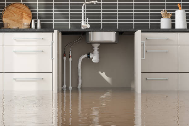 Best Sewage cleanup and water damage restoration  in Bristol, IN